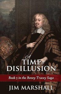 bokomslag Time of Disillusion