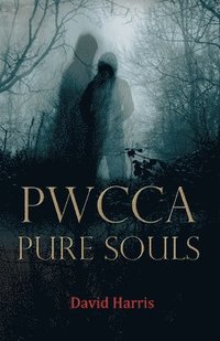 bokomslag Pwcca Pure Souls