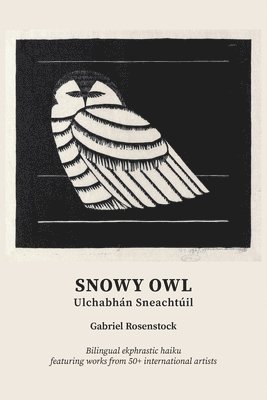 Snowy Owl