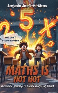 bokomslag Maths Is Not Hot
