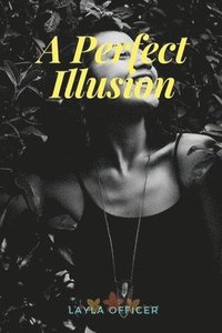 bokomslag Perfect Illusion