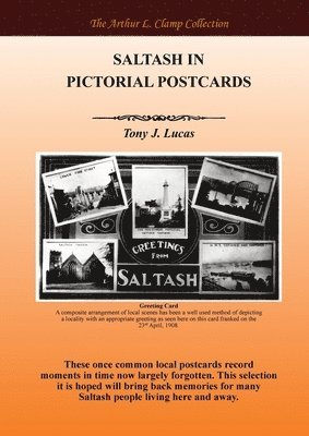 Tony J Lucas - Saltash in Pictorial Postcards, Häftad