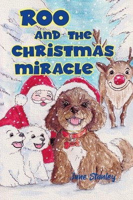 Jane Stanley - Roo and the Christmas Miracle, Häftad
