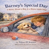 Donna Jones - Barney Special Day, Häftad