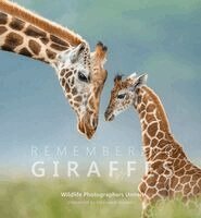 Margot Raggett Mbe - Remembering Giraffes, Inbunden. Tillgänglighet: Kommande