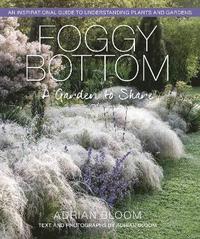 bokomslag Foggy Bottom