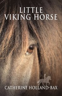 bokomslag Little Viking Horse