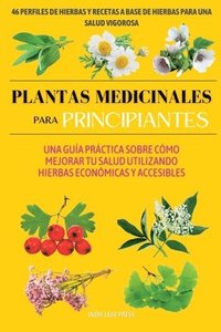 bokomslag Plantas medicinales para principiantes