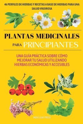 Plantas medicinales para principiantes 1