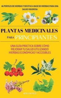 bokomslag Plantas medicinales para principiantes