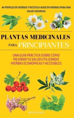 Plantas medicinales para principiantes 1