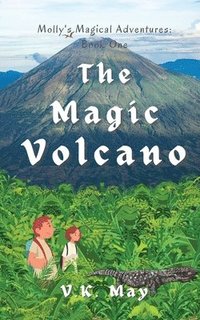 bokomslag Magic Volcano
