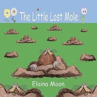 bokomslag The Little Lost Mole