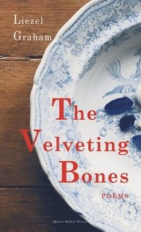 bokomslag The Velveting Bones