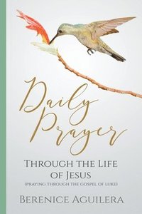 bokomslag Daily Prayer through the Life of Jesus (Praying through the Gospel of Luke)