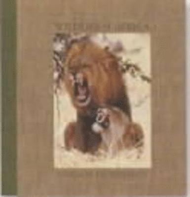 Gerald Hoberman - Wildlife of Africa, Häftad