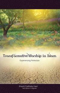 bokomslag Transformative Worship in Islam