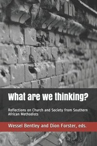 bokomslag What are we thinking?: Reflections on Church and Society from Southern African Methodists