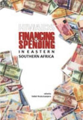 Vailet Mukotsanjera - HIV/AIDS Financing and Spending in Eastern and Southern Africa, Häftad