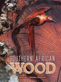 bokomslag Guide to the properties and uses of Southern African wood