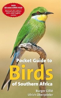 bokomslag Pocket Guide to the Birds of Southern Africa