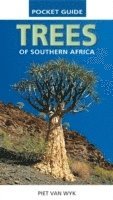 bokomslag Pocket Guide to Trees of Southern Africa