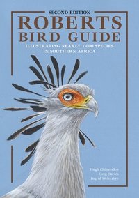 bokomslag Roberts bird guide