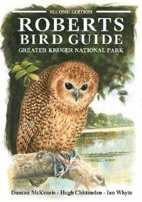 bokomslag Roberts Bird Guide Greater Kruger National Park