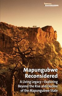 bokomslag Mapungubwe reconsidered