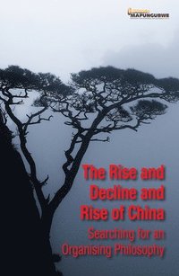 bokomslag The Rise and Decline and Rise of China