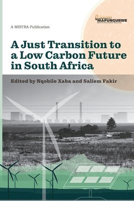 A Just Transition to a Low Carbon Future in South Africa 1