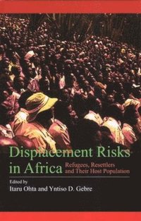 bokomslag Displacement Risks in Africa