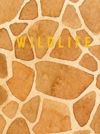 bokomslag Wildlife