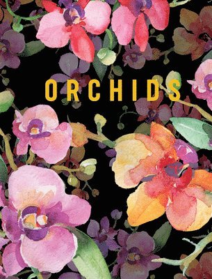 Orchids 1