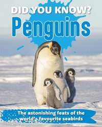 bokomslag Did You Know? Penguins