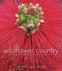 bokomslag Wildflower Country: Discovering Biodiversity in Australia's Southwest