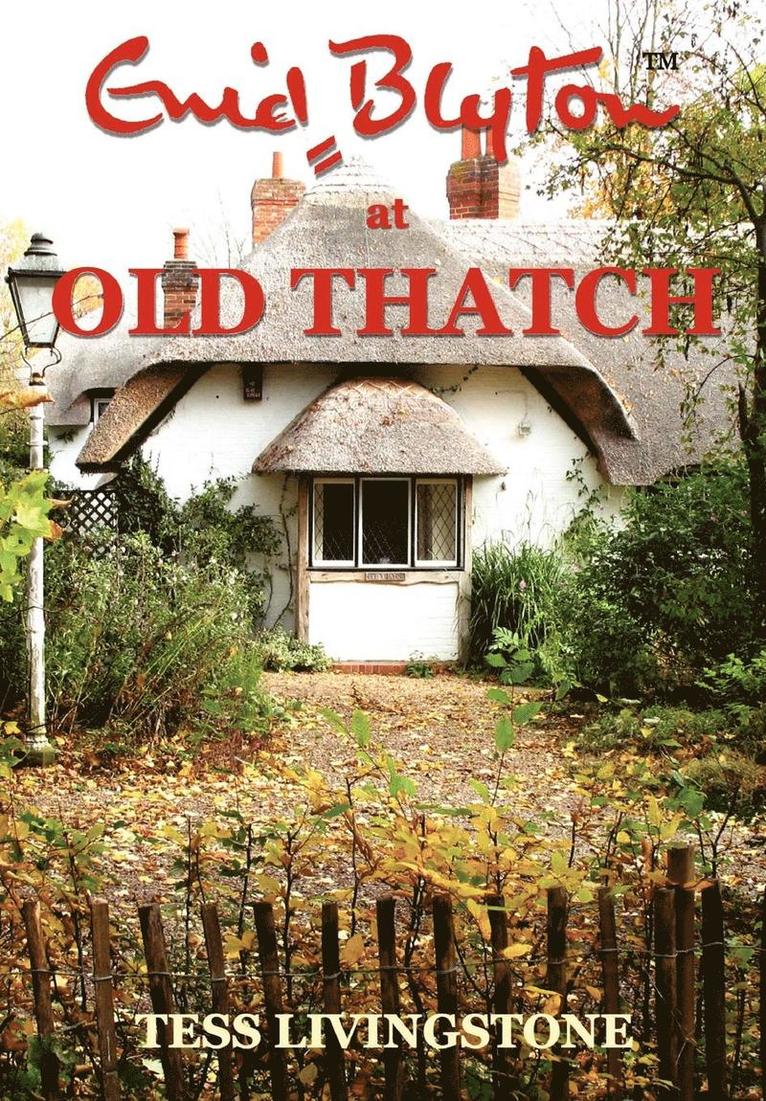 TESS LIVINGSTONE, Tess Livingstone - Enid Blyton at Old Thatch, Häftad
