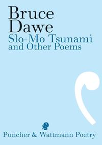 bokomslag Slo-Mo Tsunami and Other Poems