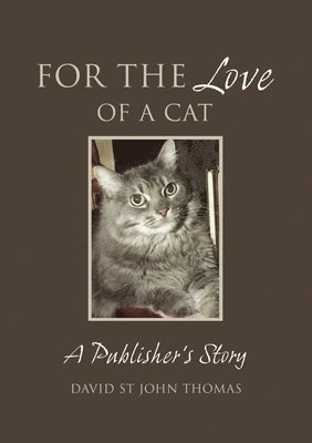 For The Love Of A Cat 1