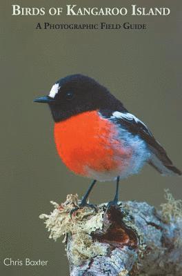 bokomslag Birds OF Kangaroo Island