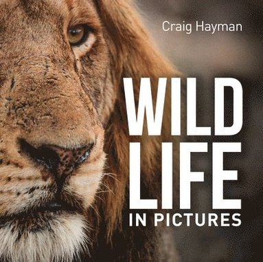 bokomslag Wildlife in Pictures
