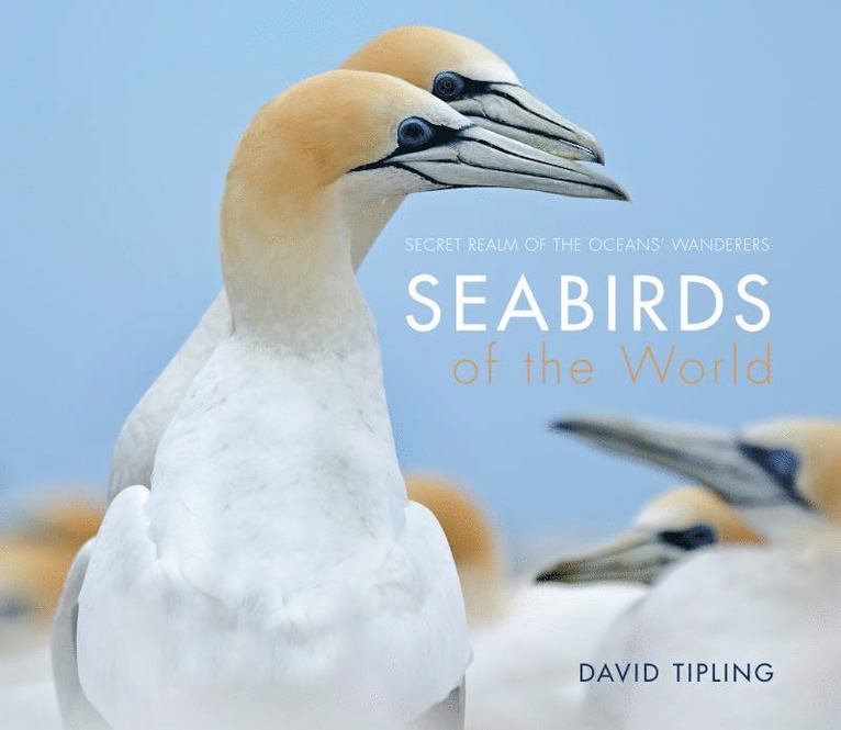 David Tipling - Seabirds of the World, Inbunden