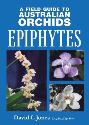 bokomslag 'Field Guide to Australian Orchids - Epiphytes