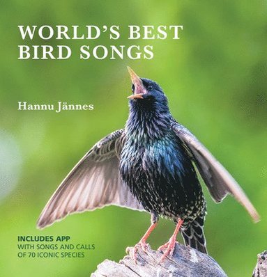 bokomslag WORLD'S BEST BIRD SONGS