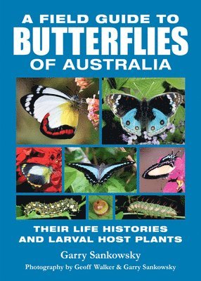 Garry Sankowsky - A Field Guide to Butterflies of Australia: Their Life Histories and Larval Host Plants, Häftad