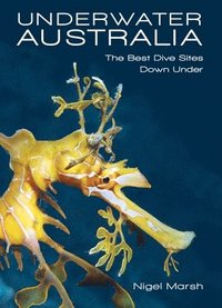 bokomslag Underwater Australia