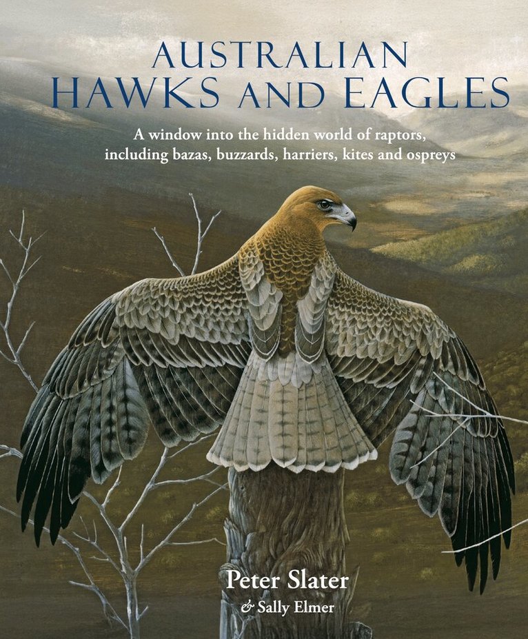 Peter Slater, Sally Elmer - Australian Hawks and Eagles, Inbunden