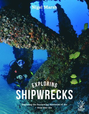 bokomslag Yr: Exploring Shipwrecks