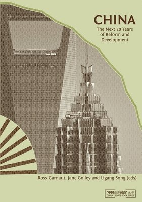 Ross Garnaut, Jane Golley - China: The Next Twenty Years of Reform and Development, Häftad