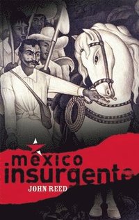 bokomslag Mexico Insurgente